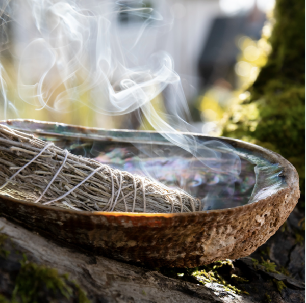 ABALONE SHELL Incense Burner small - Image 8
